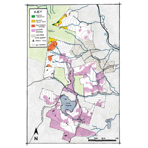 Graphics of Maps (8)